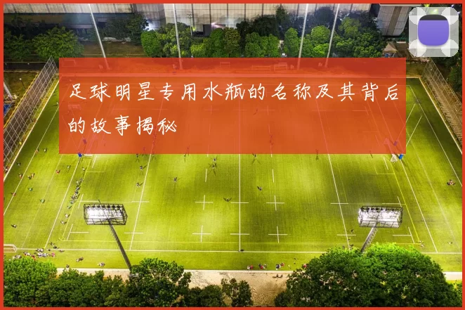 足球明星专用水瓶的名称及其背后的故事揭秘