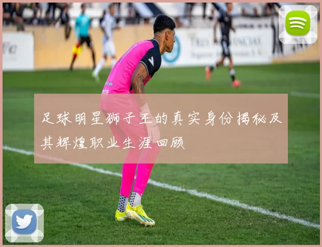 足球明星狮子王的真实身份揭秘及其辉煌职业生涯回顾