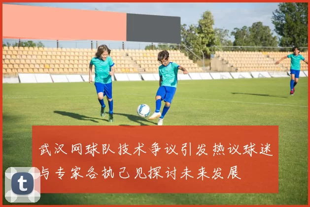 武汉网球队技术争议引发热议球迷与专家各执己见探讨未来发展