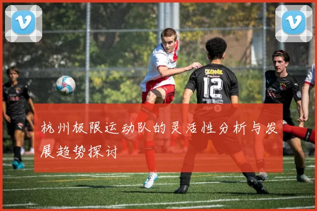 杭州极限运动队的灵活性分析与发展趋势探讨