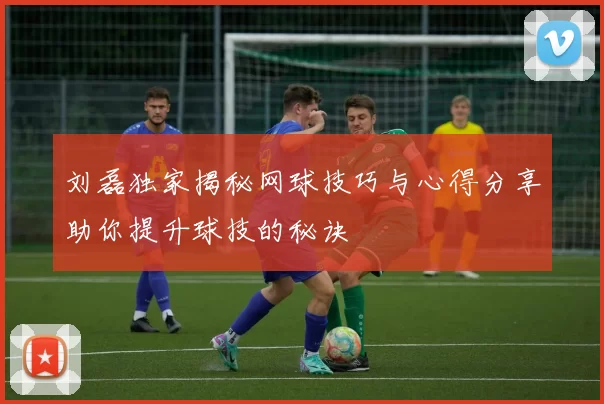 刘磊独家揭秘网球技巧与心得分享助你提升球技的秘诀