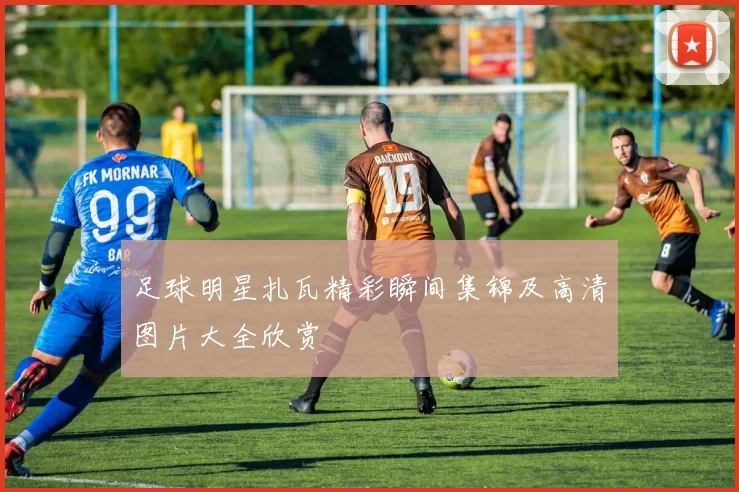 足球明星扎瓦精彩瞬间集锦及高清图片大全欣赏
