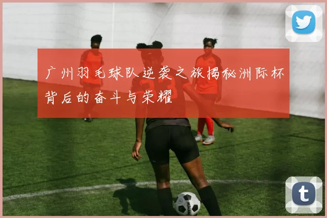 广州羽毛球队逆袭之旅揭秘洲际杯背后的奋斗与荣耀