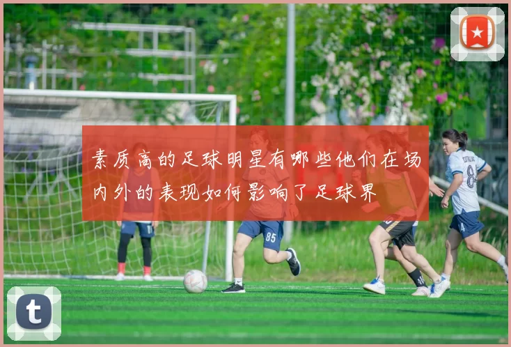 素质高的足球明星有哪些他们在场内外的表现如何影响了足球界