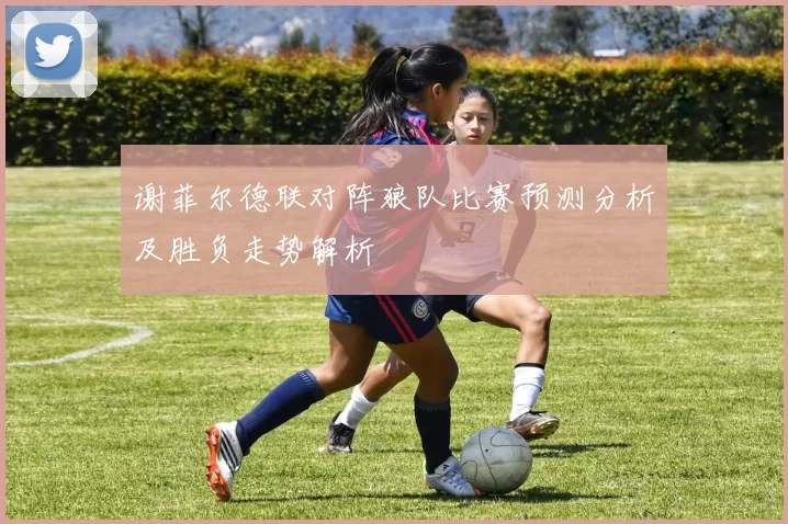 谢菲尔德联对阵狼队比赛预测分析及胜负走势解析
