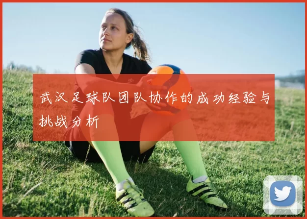 武汉足球队团队协作的成功经验与挑战分析